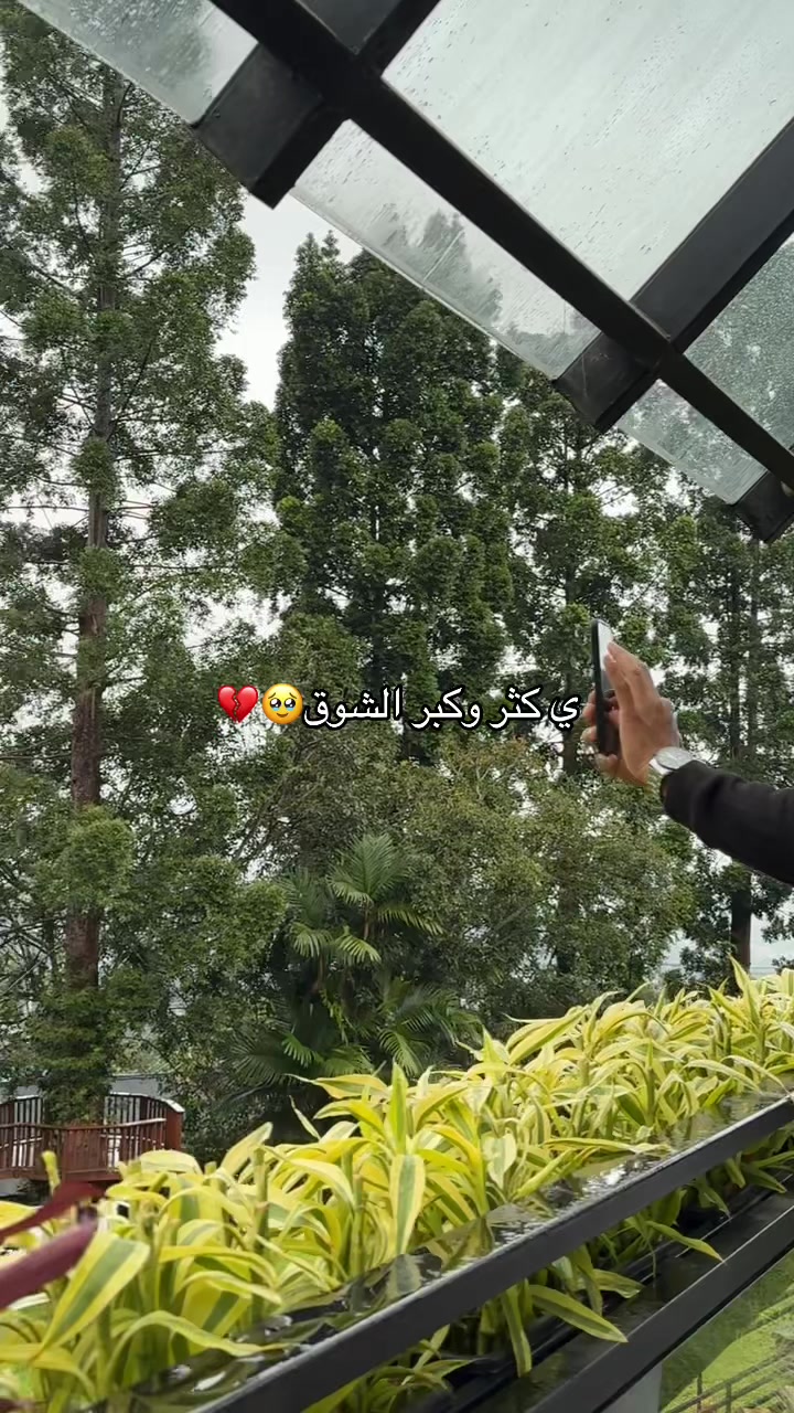 @✈️📸ALWALEED