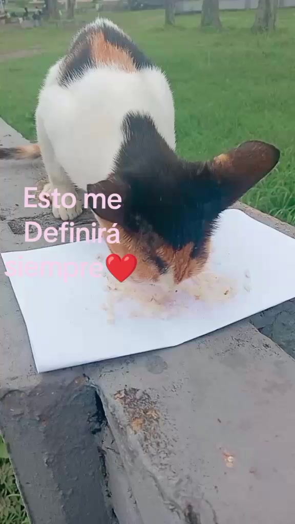 @oriana cedeño