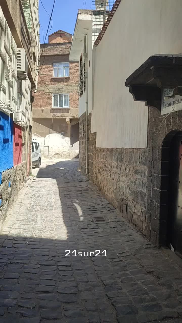 @21_SUR_21