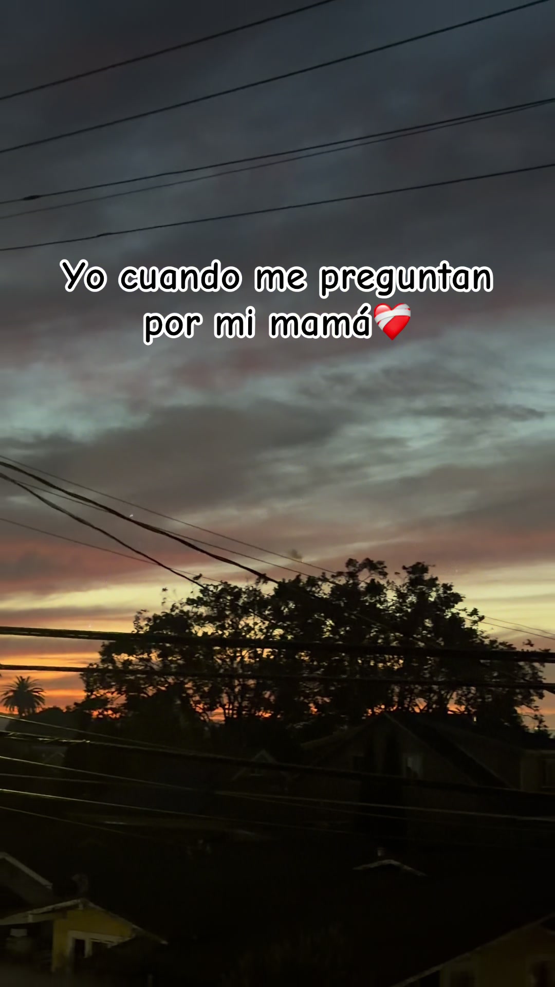 @Adelina✨