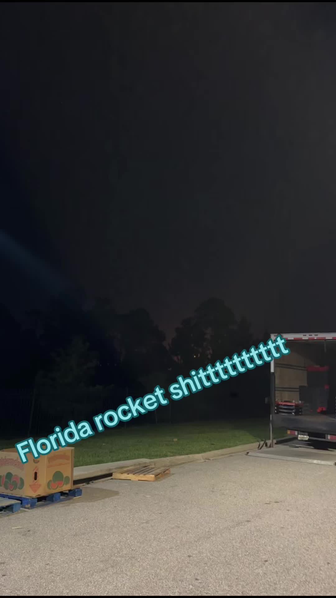 @sharkkyy