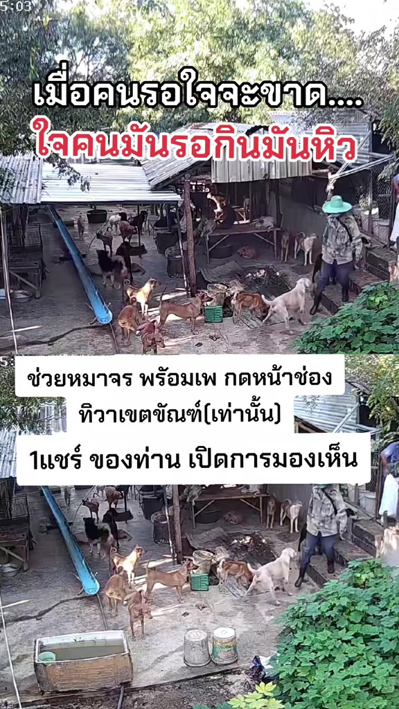 @๐๘๖๑๔o๘๓๙๖ทิวาเขตขัณฑ์