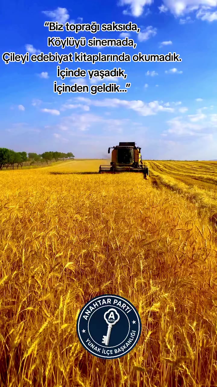 @Hasan ŞAHİN