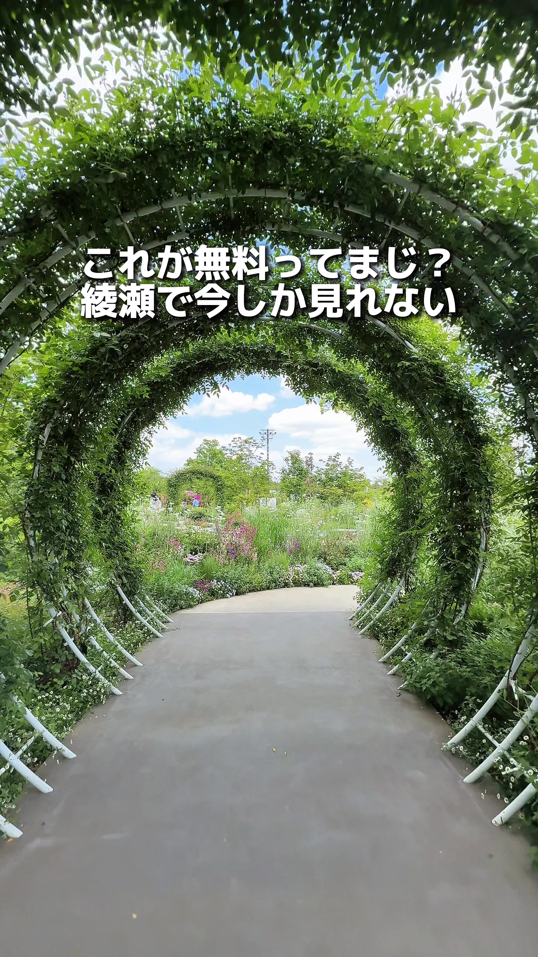 @えびなび