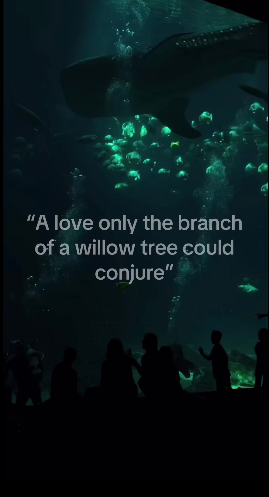@🌊⁎⁺˳✧