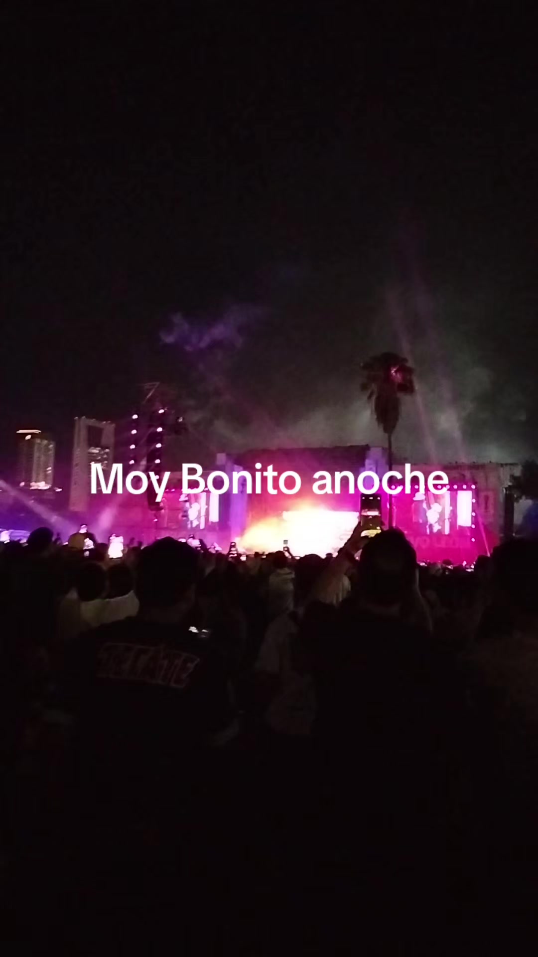 @saryramos