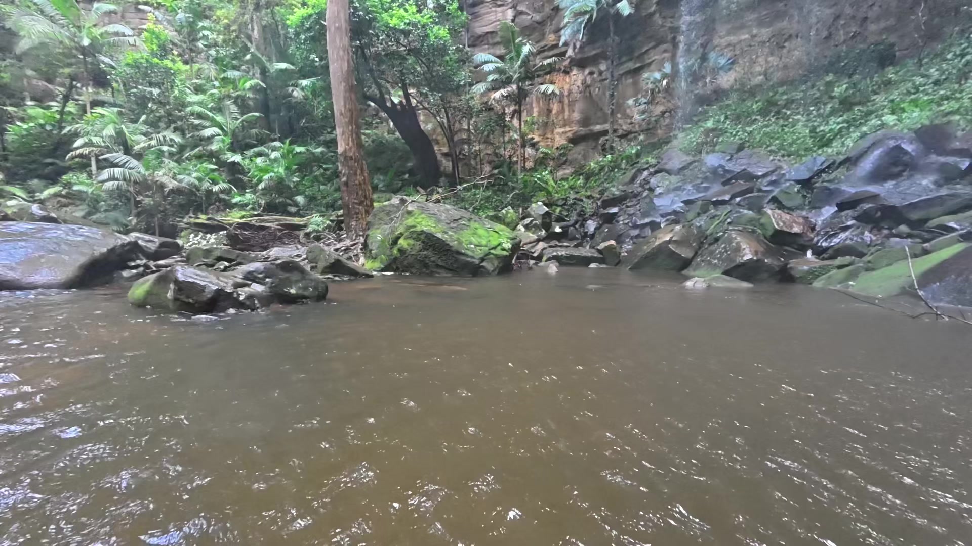@cooperrisselnature
