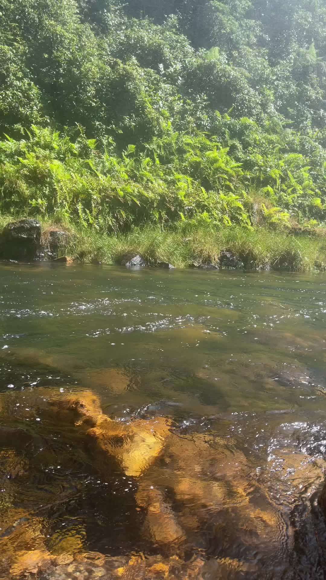 @Quelinha