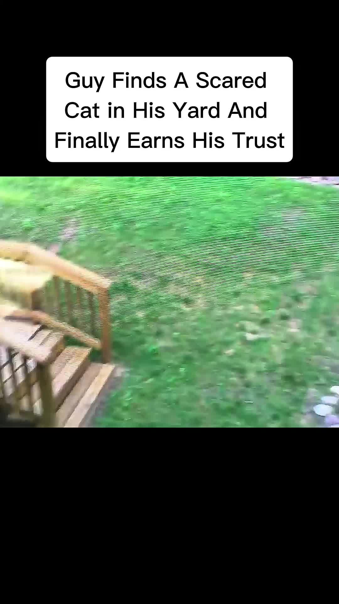 @cddle_buddies_channel