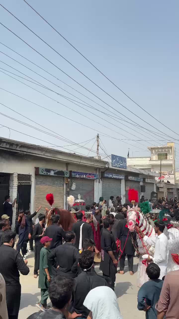 @مرکزی ذوالجناح تلہ گنگ