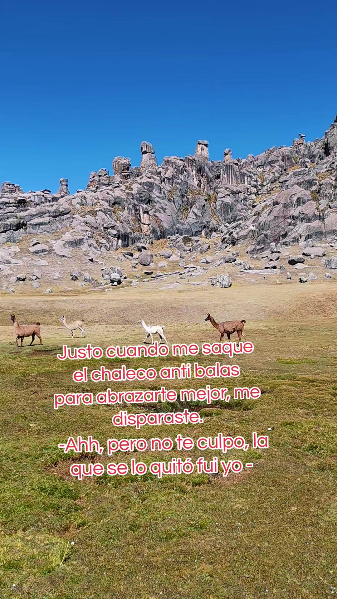 @FLORCITAPOMA