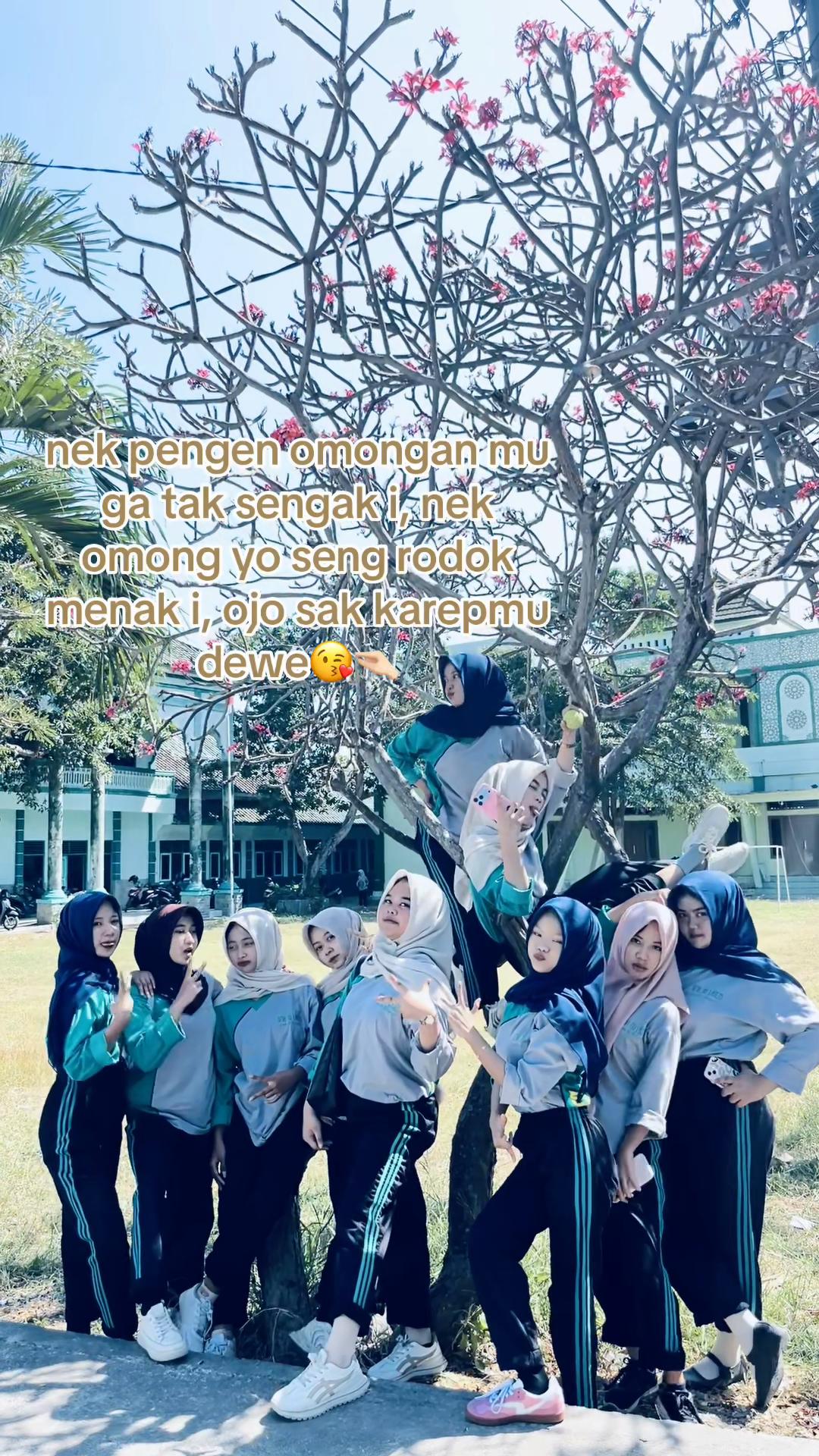 @Xl-AKL