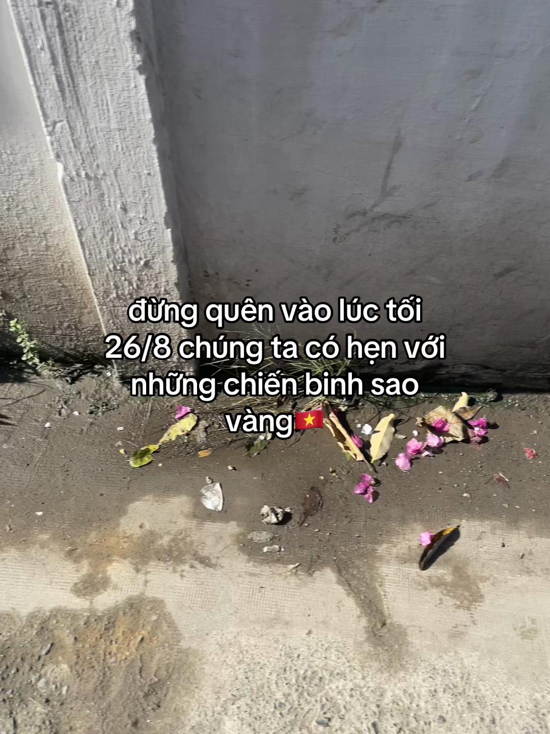 @Tiến Đức