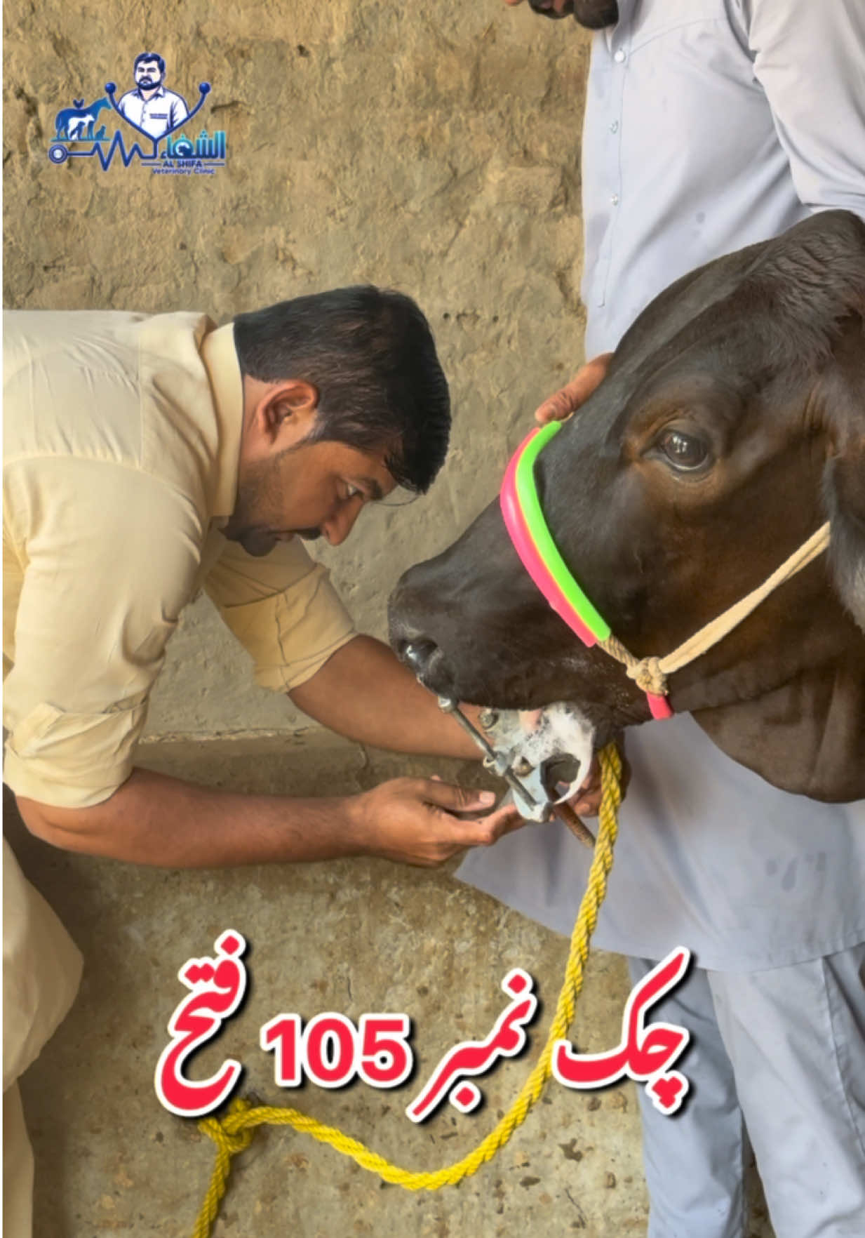 @Dr.Mohsin