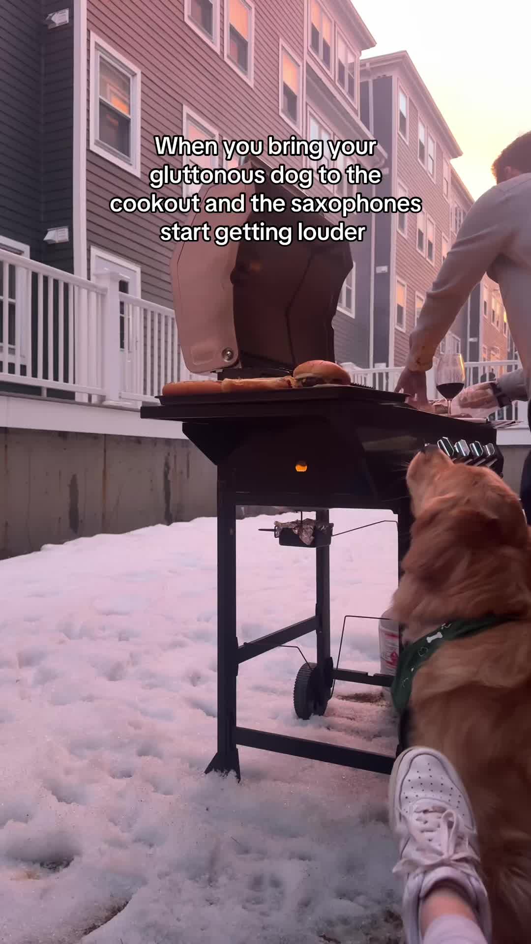 @Winter the Golden