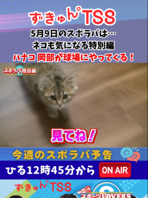 @テレビ新広島公式TikTok