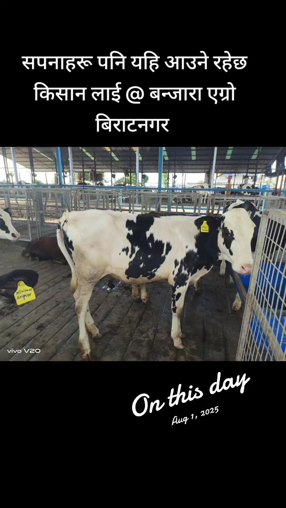 @Banjara Agro