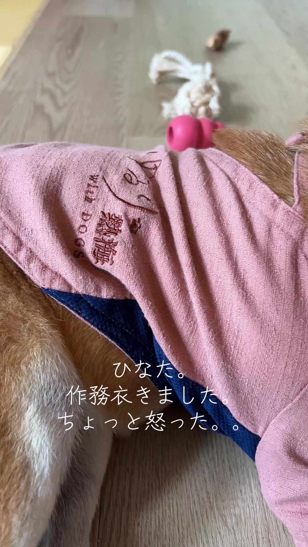 @ひでぽともぽ
