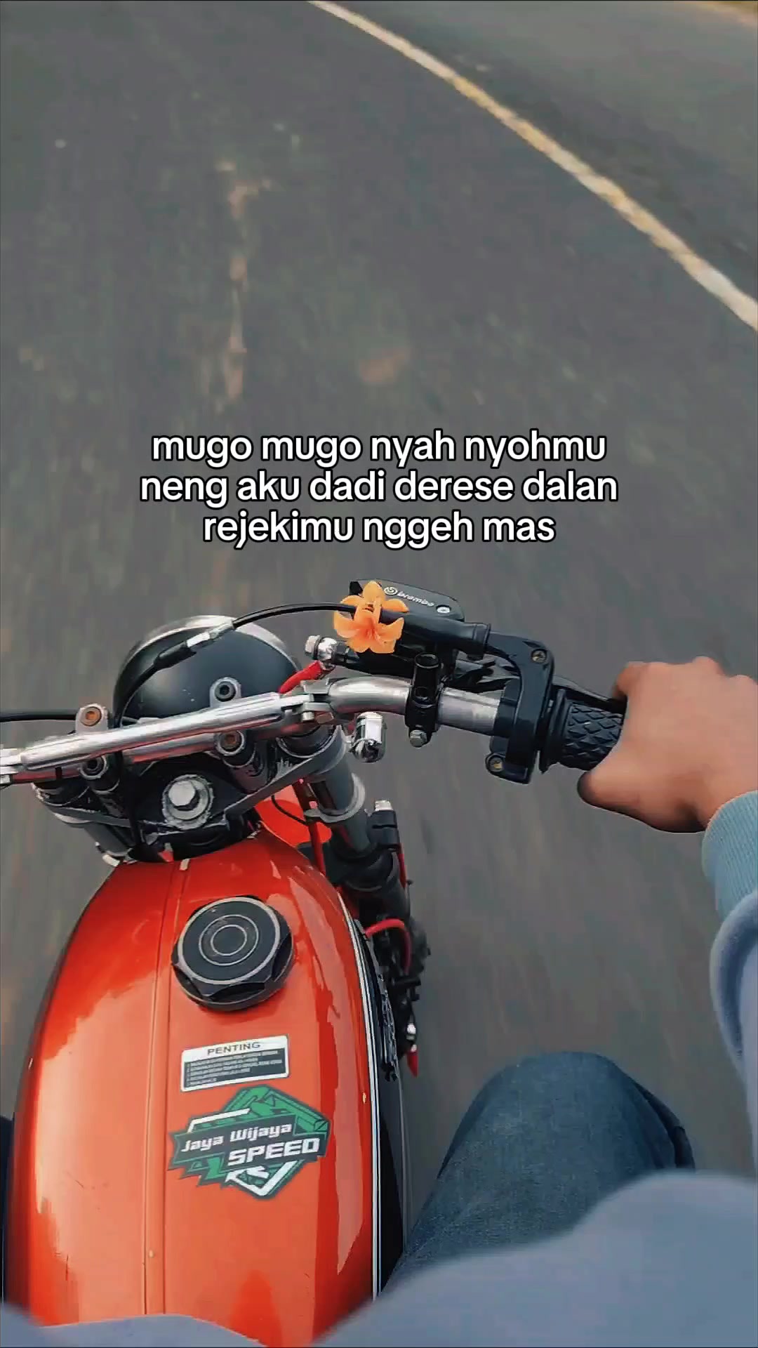 @Melon🍈