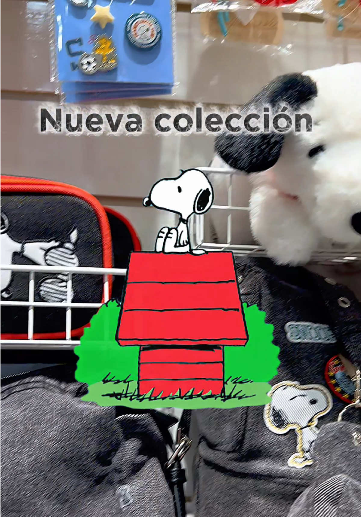 @ConPazLife