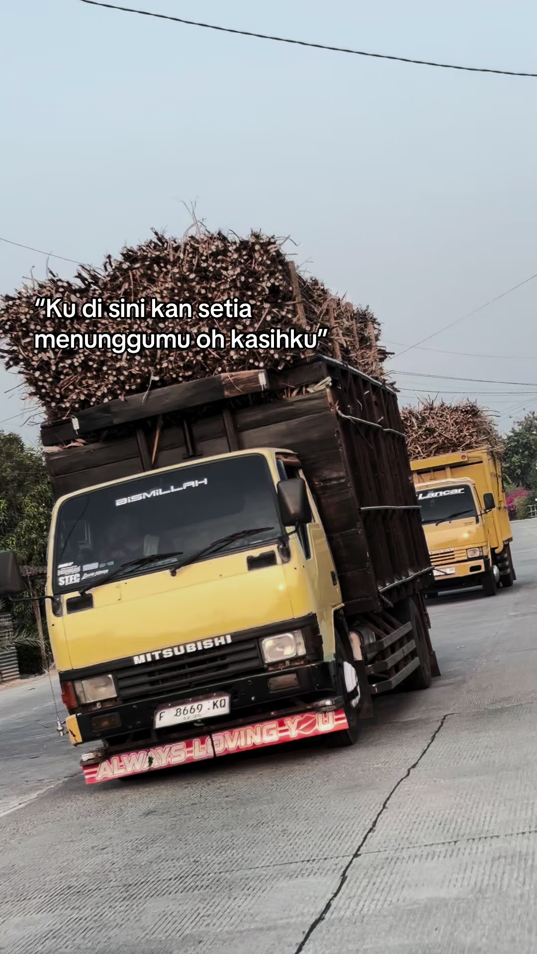 @𝐇𝐚𝐲 𝐥𝐨𝐧𝐠