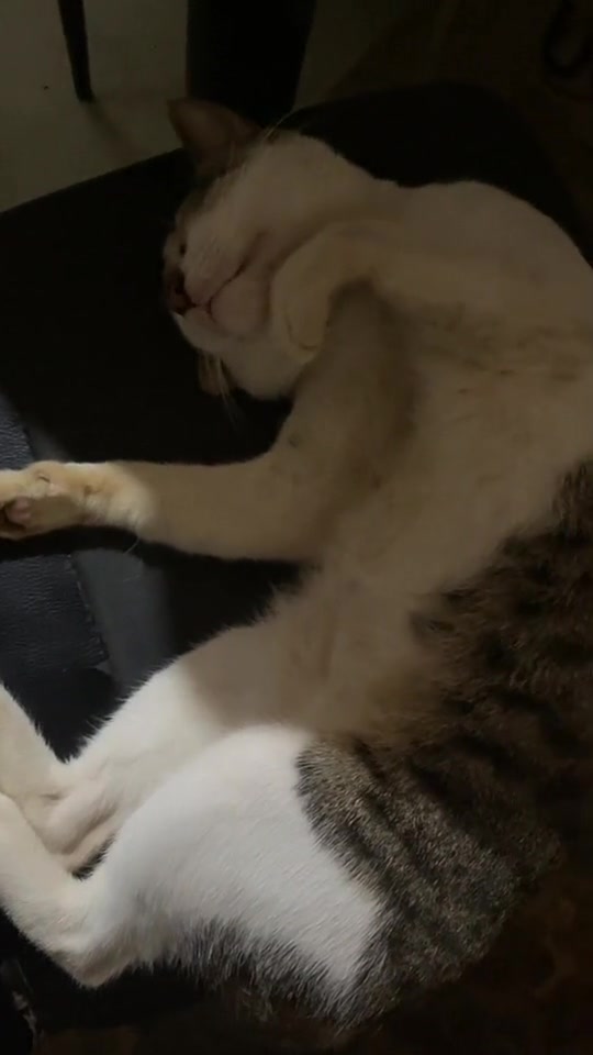 @NƎƎ˥∀Λ