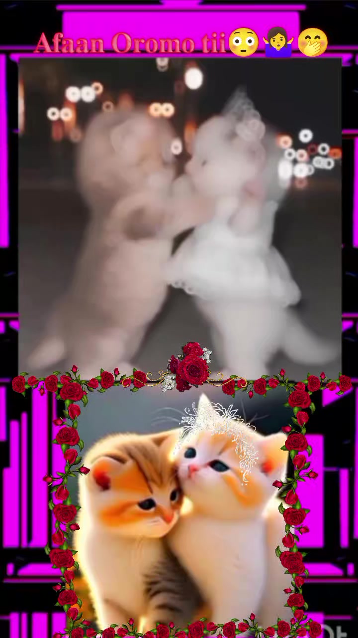 @๏ทฝโโ.๐๐ฅ๐ฅ๐ก ๐ข๐ฌ ๐จ๐ง๐โ
๐:โฆ
