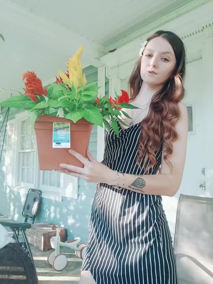 @lindsey_brie