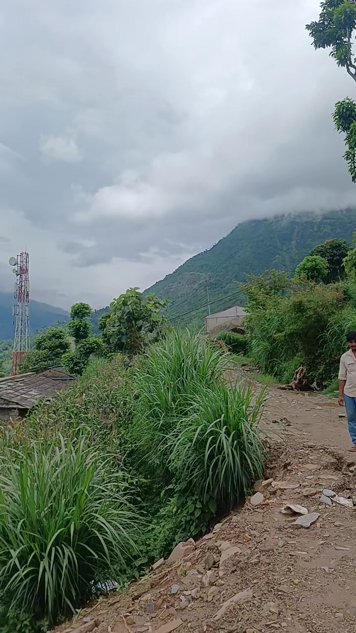 @महत हरी