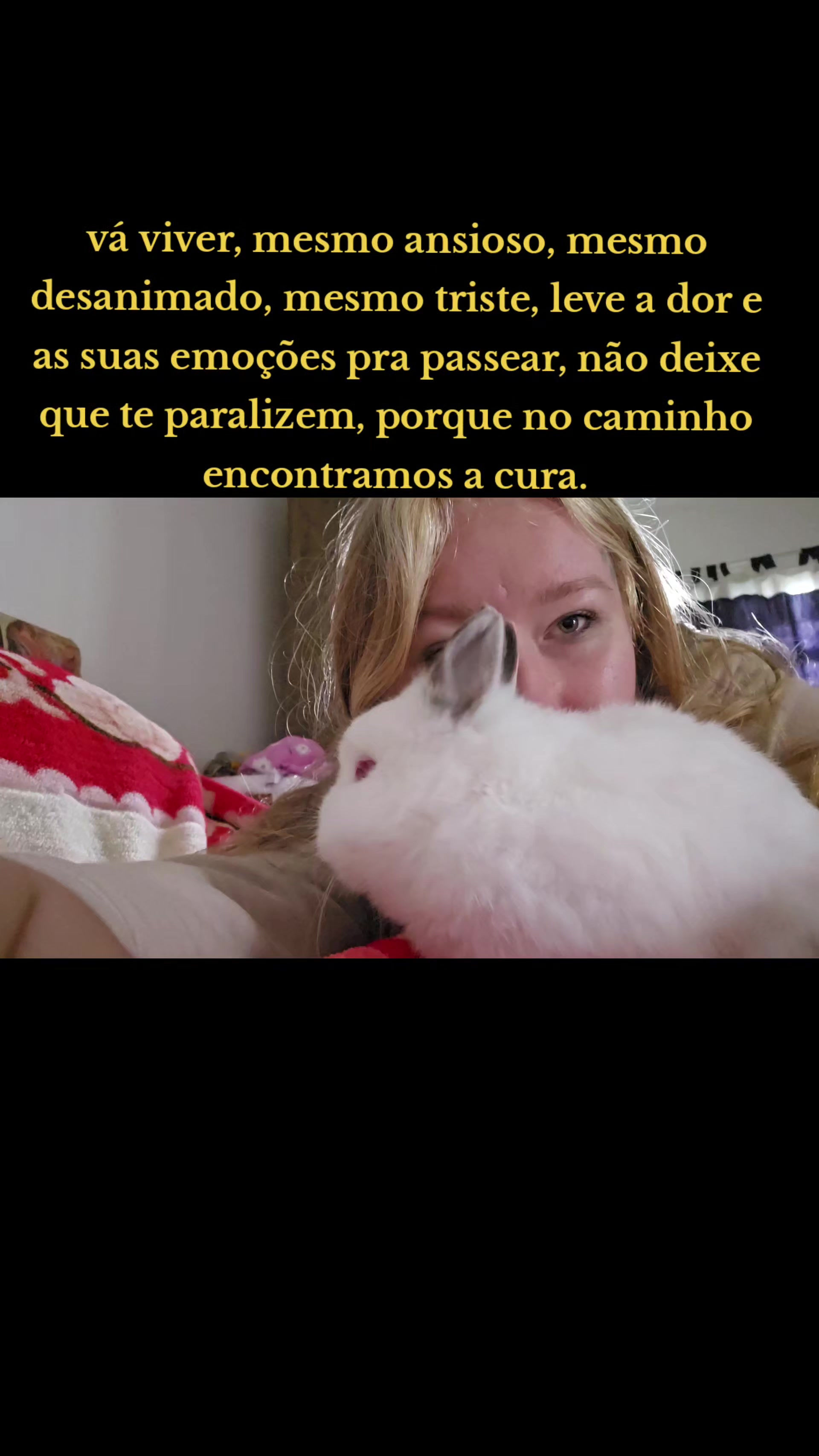 @danihwho📚