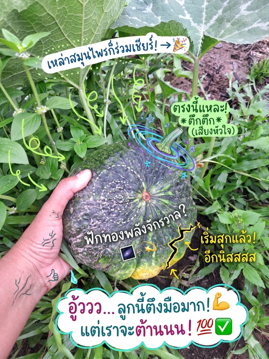 @🌈˚ꕤℙᎥꪀׁׅηႸꕤꮺ🌲