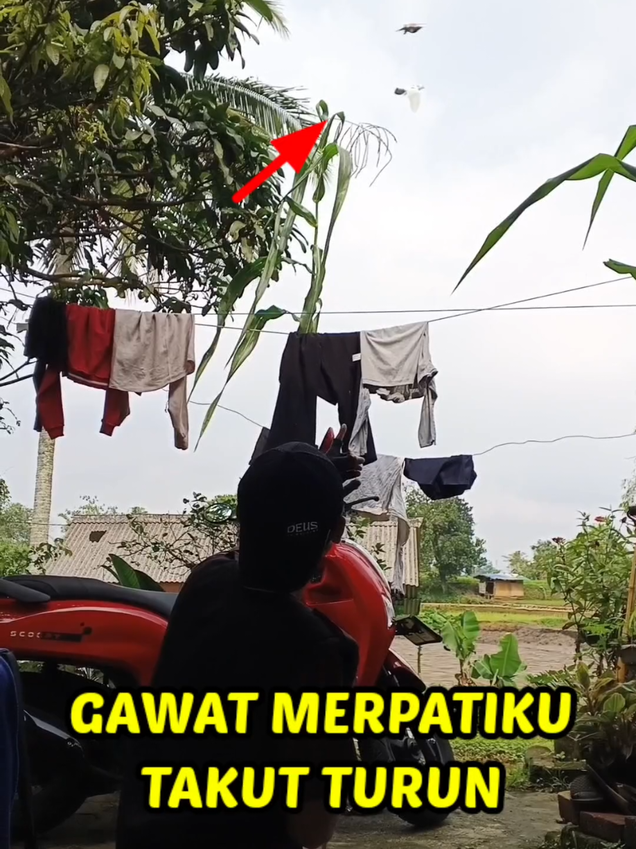 @BANG LEYON