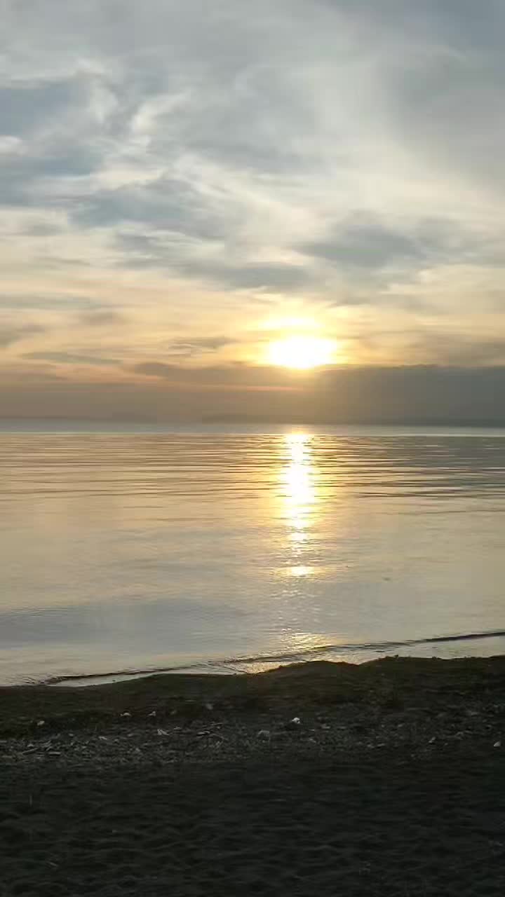 @iamsharron20