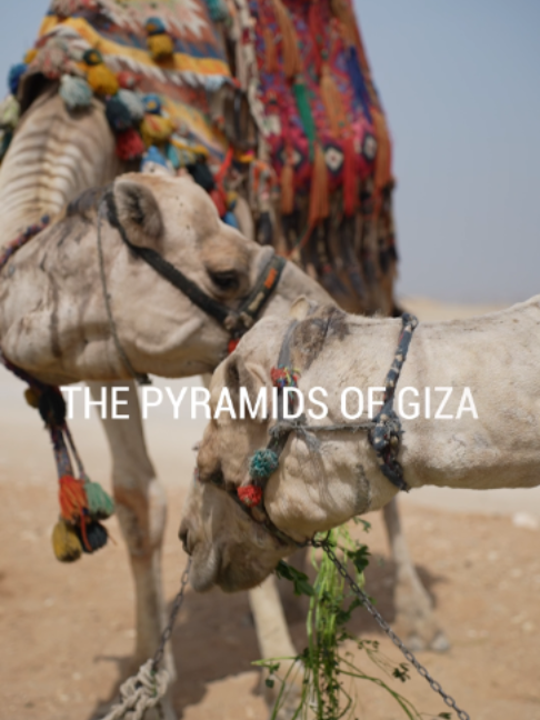 @The pyramids of Giza official