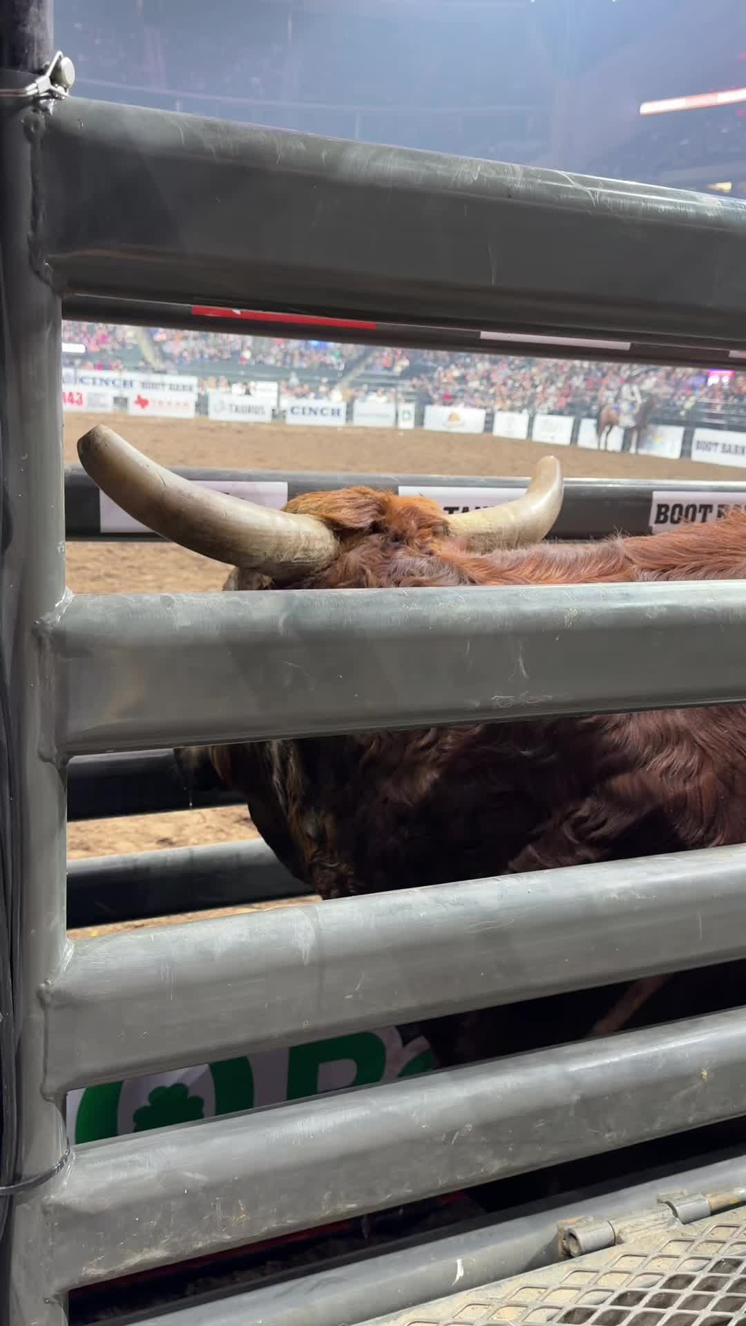 @CinchWorldsToughestRodeo