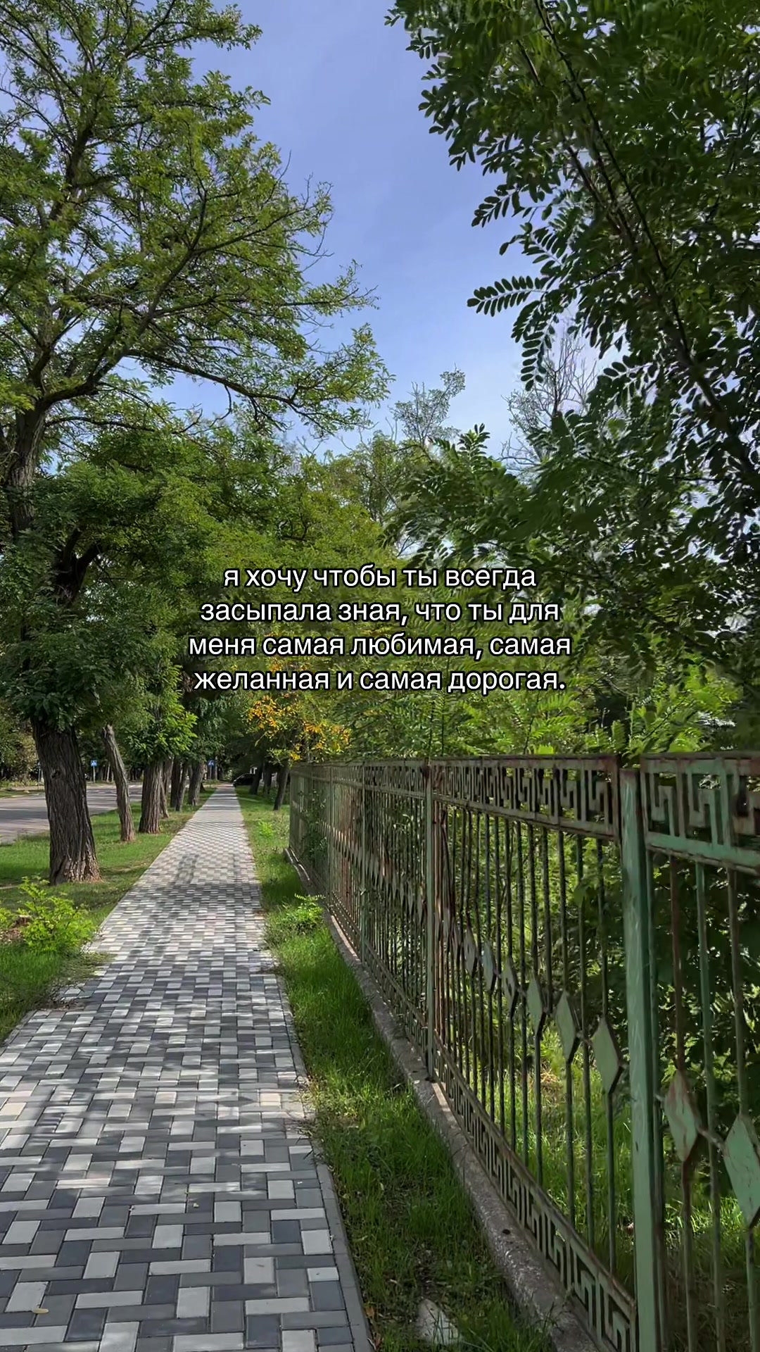 @кис кис💗