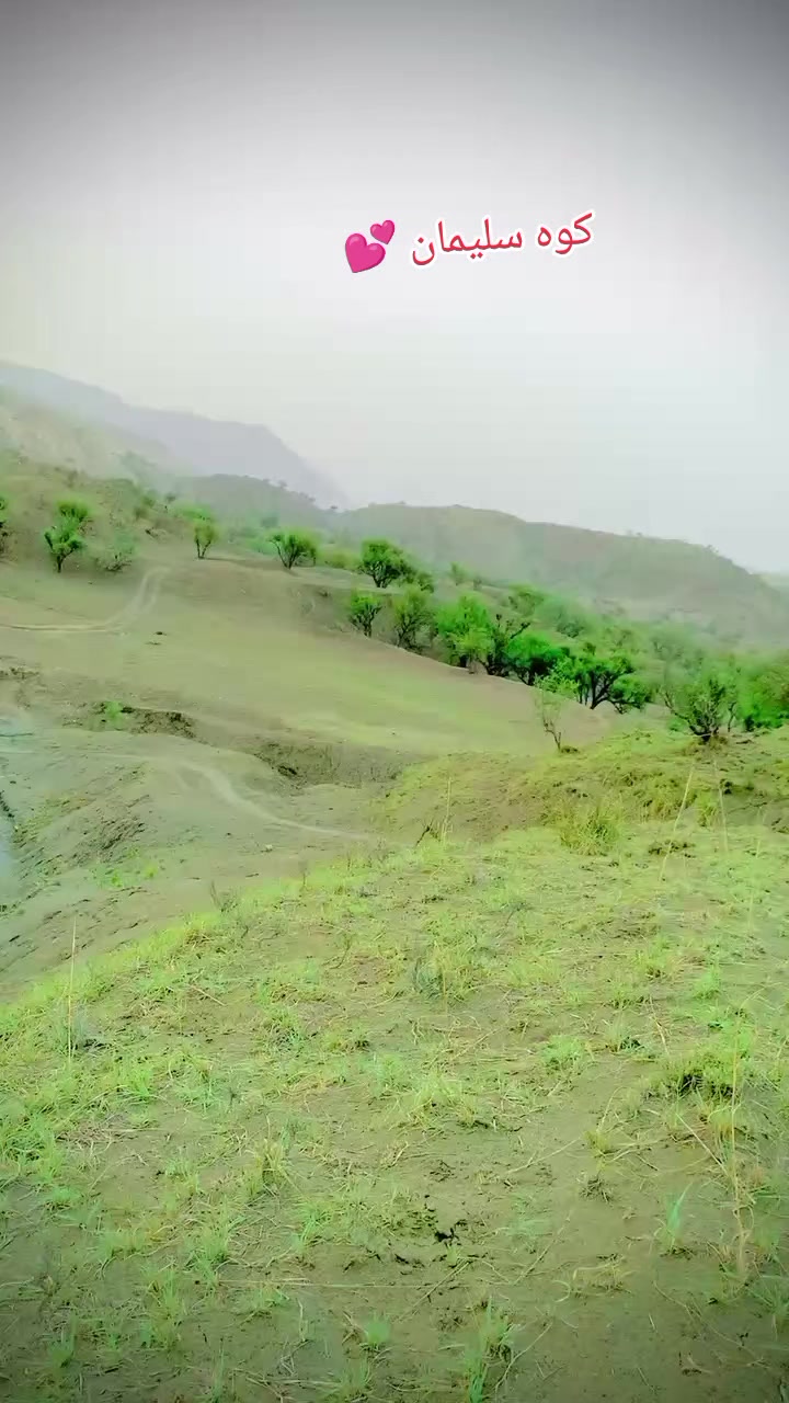 @Buzdar 🥷