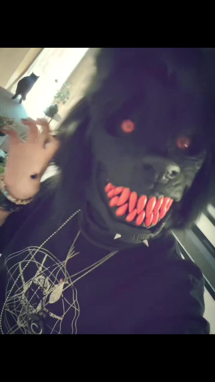 @𝐧𝐨𝐚𝐡 🐾
