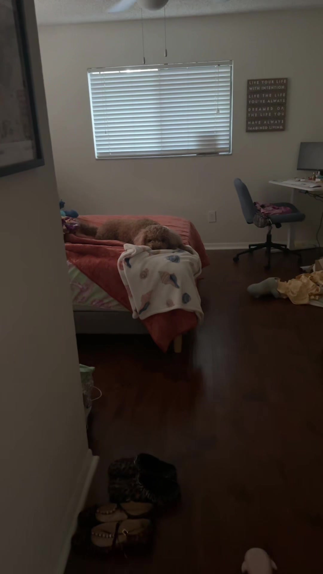 @Kayla