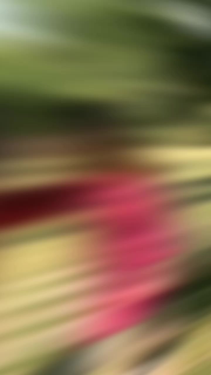 @๐ฒahi ๐ถ๐๐๐๐๐โ๐น