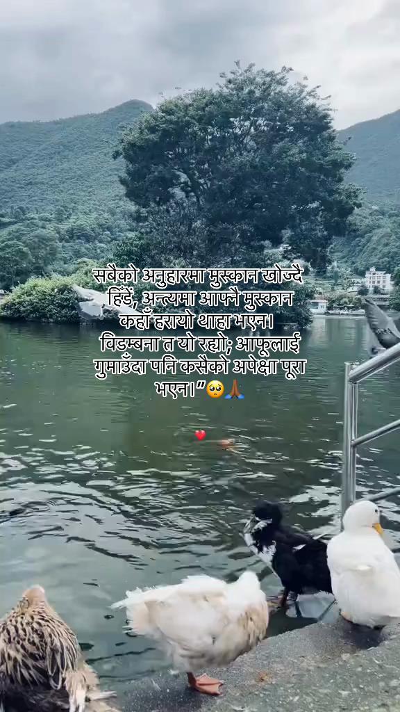 @मनछुनेलाईनहरू🥺