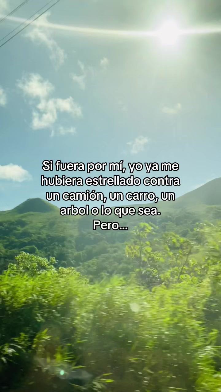 @Stef 🌻