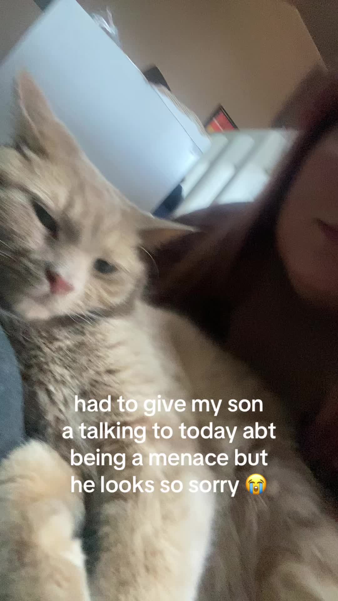@Allystacy