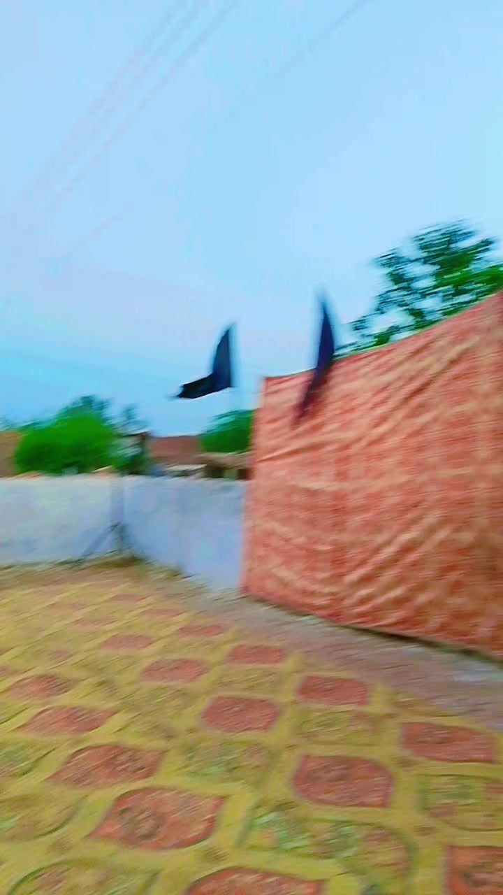 @Syed zada Hakam shamsi