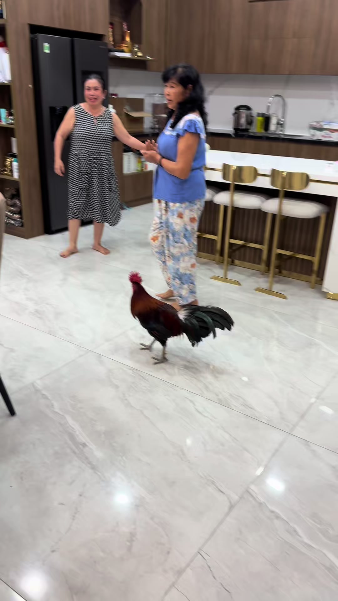 @L&ecirc; Dương Bảo.L&acirc;m