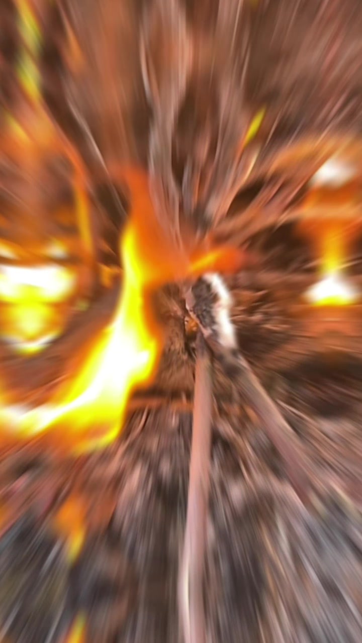 @S A A E R