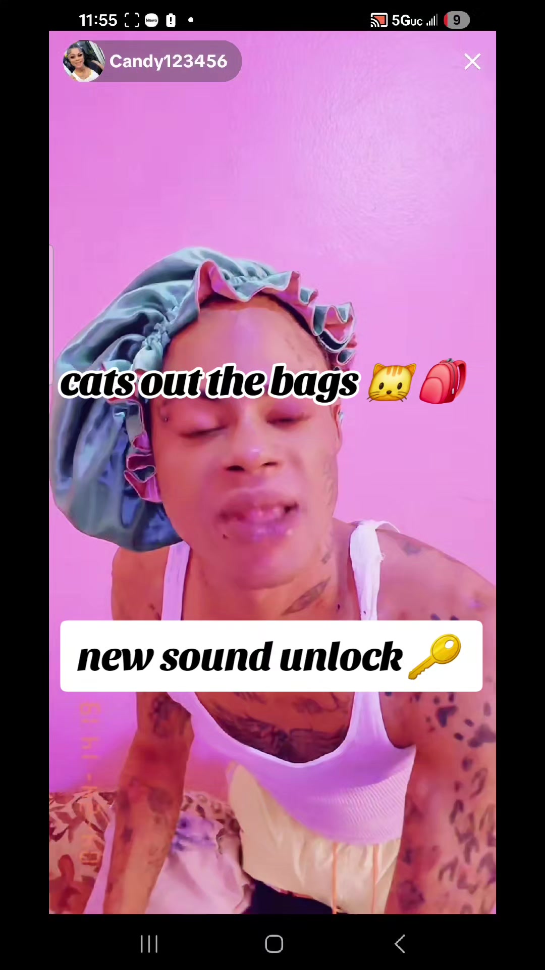 @cats out  the bags 🐱🐱🐱🐱🐱