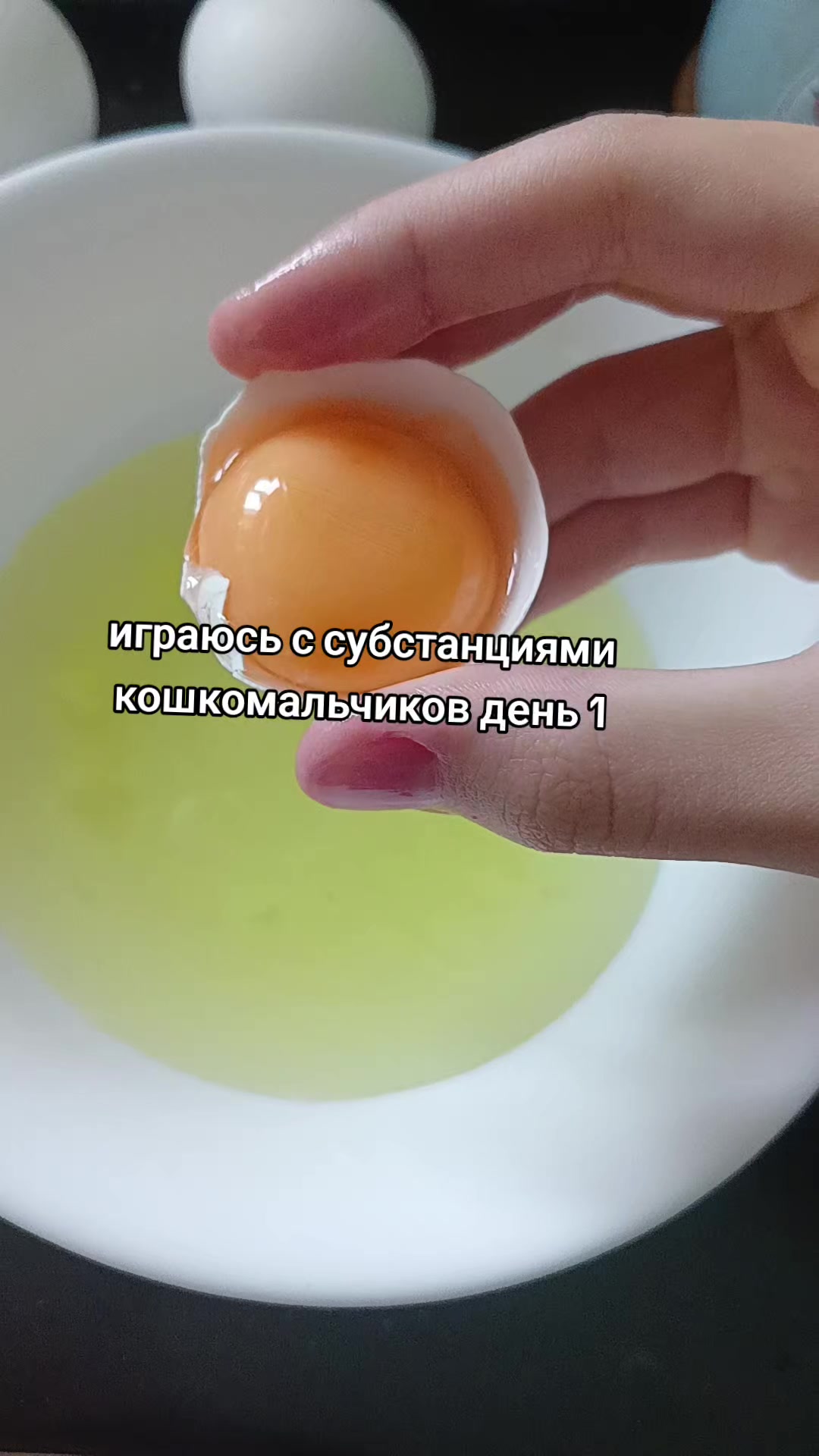 @rawchvrka14