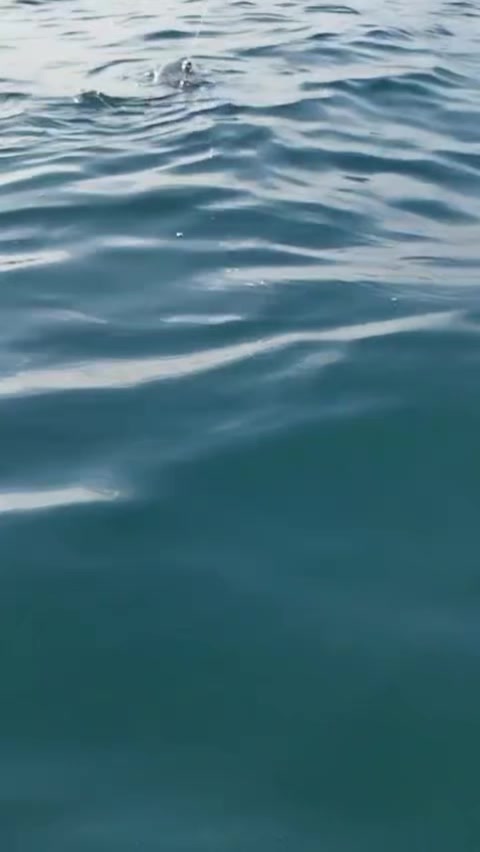@Deli kadın