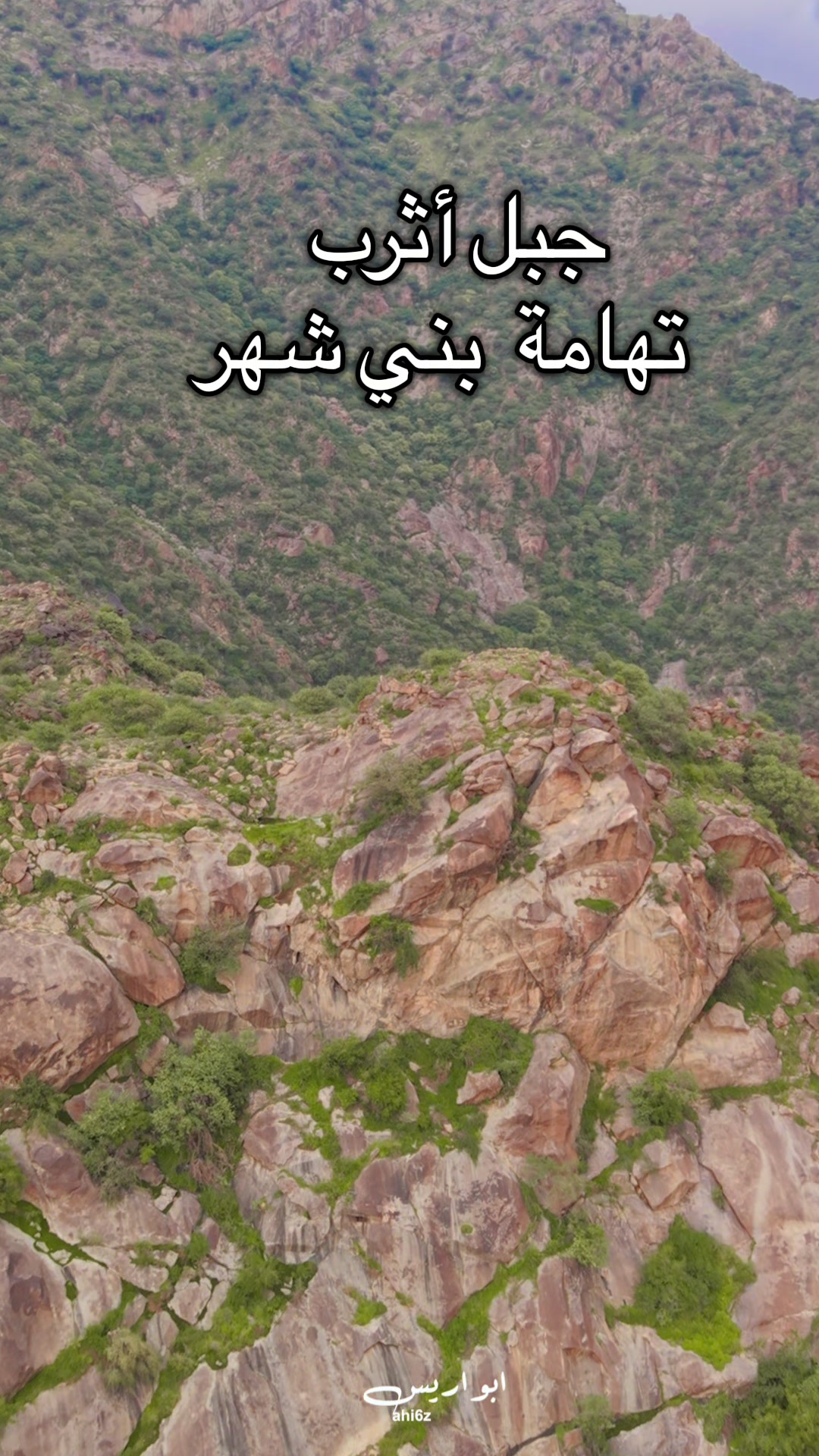 @أبــو أريـــس